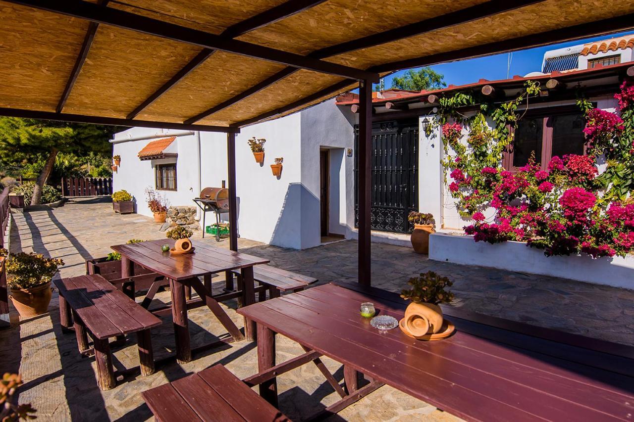 卢凯内纳-德拉斯托雷斯Cortijo 4 Elementos住宿加早餐旅馆 外观 照片